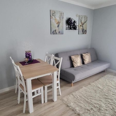 Apartament Twoja Chwila Stronie Śląskie Zewnętrze zdjęcie